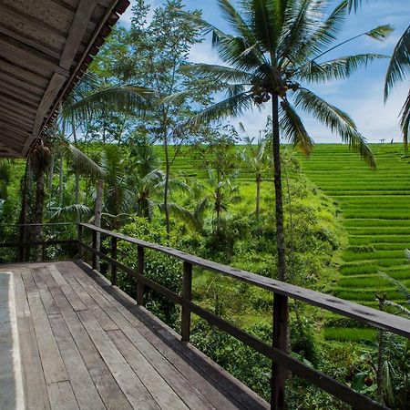 Be Bali Stay أوبود المظهر الخارجي الصورة