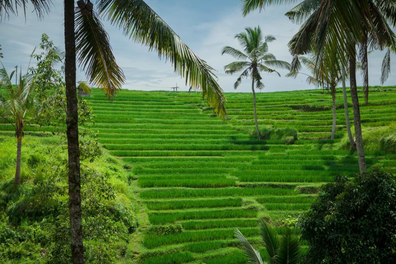 Be Bali Stay أوبود المظهر الخارجي الصورة