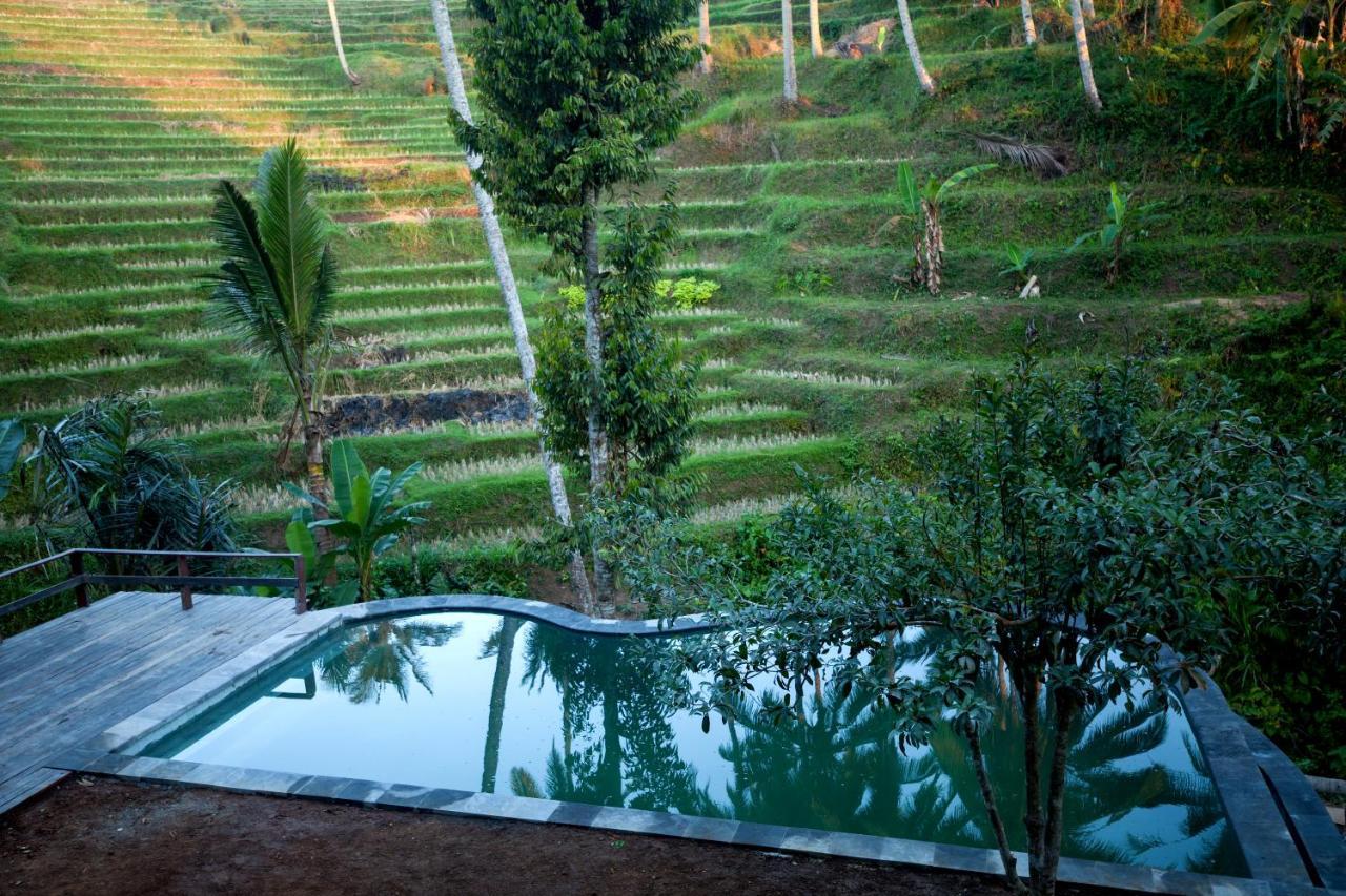 Be Bali Stay أوبود المظهر الخارجي الصورة