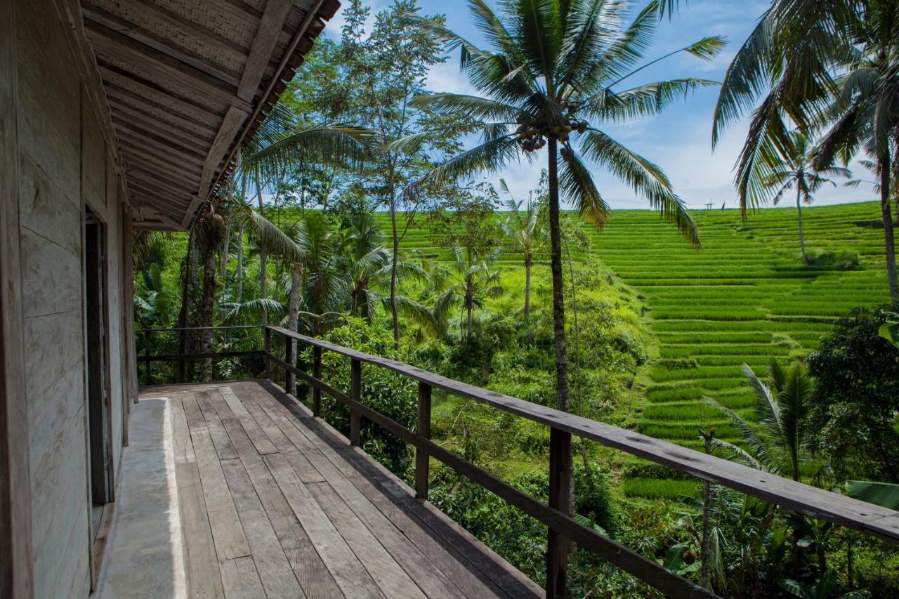 Be Bali Stay أوبود المظهر الخارجي الصورة