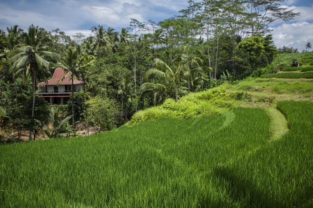 Be Bali Stay أوبود المظهر الخارجي الصورة